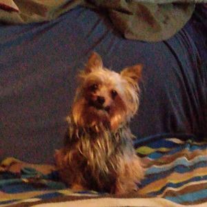 Meet your Posher, Marion